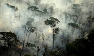 Vista aérea de los incendios forestales de la Amazonia. REUTERS/Bruno Kelly