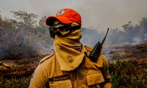 Las brigadas contra incendios cuentan con pocos recursos para luchar contra la peor tragedia de la historia reciente en el Pantanal. MAYKE TOSCANO/ SECOM MT.