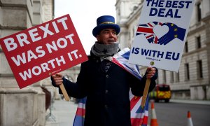 Un hombre protesta contra el brexit.