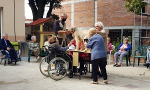 Un grup de dones participen en una sessió amb gossos al Casal Oller.