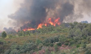 Flames de l'incendi a Martorell i Castellví de Rosanes.