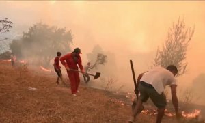 Desastres naturales en el planeta: incendios e inundaciones