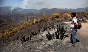 Ordenan el desalojo de Jubrique y Genalguacil por el incendio de Málaga