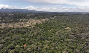 16/03/2022 Una fotografía aérea tomada con un dron muestra el bosque de Oloolua, cerca de Nairobi (Kenya)