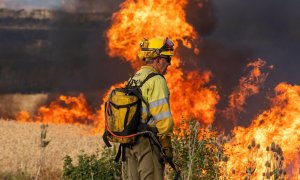 Un bombero observa las llamas del incendio declarado este domingo por la tarde en el término municipal de Quintanilla del Coco, en Burgos, que ha obligado a evacuar a media docena de municipios, entre ellos Santo Domingo Silos y a los monjes del monasteri