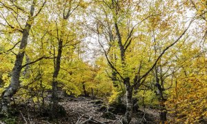 El verano que nos ha expuesto en toda su crudeza el cambio climático