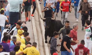 Varias personas rodean al toro "Manjar" durante la celebración de la festividad del Toro de la Vega en Tordesillas, este martes.