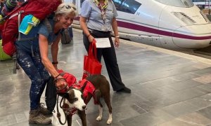 Los perros de hasta 40 kilos ya viajan en tren