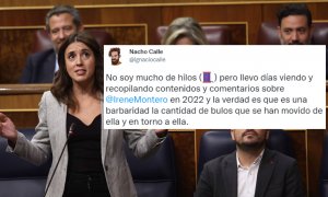 El hilo que recopila los bulos propagados contra Irene Montero: "Es una barbaridad"