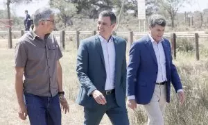 El presidente del Gobierno, Pedro Sánchez (c), junto al director Estación Biológica de Doñana, Eloy Revilla, y el delegado del gobierno en Andalucía, Pedro Fernández, este jueves durante la visita realizada al Parque Nacional de Doñana