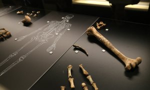 Diverses restes neandertals identificades a la Cova Simanya de Sant Llorenç Savall al Museu d’Arqueologia de Catalunya