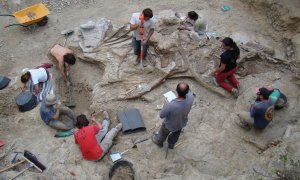 Imagen de un Garumbatitan encontrado en Morella.