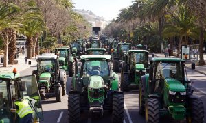 Cientos de agricultores se concentran a finales de febrero como protesta en el Paseo del Parque de Málaga.