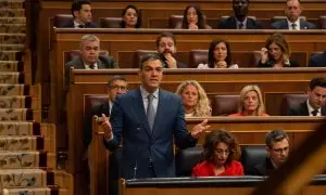 El presidente del Gobierno, Pedro Sánchez, interviene durante una sesión de control al Gobierno, en el Congreso de los Diputados, a 20 de marzo de 2024