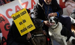 Imagen de archivo de dos perros durante la manifestación No a La Caza 2024, en la Plaza de Callao, en Madrid.