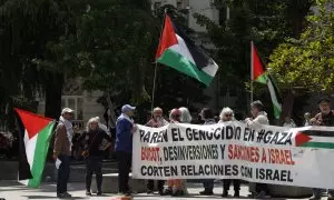 Concentración en apoyo a Palestina delante del pleno del Congreso, a 22 de mayo de 2024.