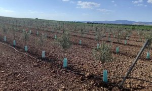 Agricultores de Ciudad Real denuncian una oleada de robos de material de riego y transformadores eléctricos