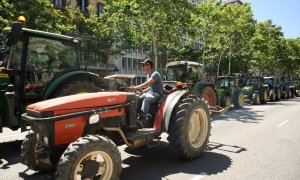 31/01/2024 Tractores durante una protesta en Barcelona, Catalunya, a 8 de mayo de 2024.