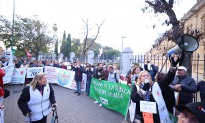 Miembros de las mareas andaluzas de sanidad y educación protestan en una imagen de archivo a las puertas del Parlamento de Andalucía.