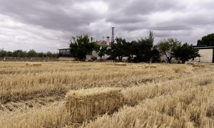 Vista de la vivienda de la mujer de 50 años que ha sido hallada muerta en una cuneta de la localidad malagueña de Antequera y su pareja, un hombre de 62 años, ha sido detenido como presunto autor de la muerte por asfixia de la víctima.