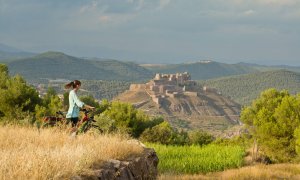 Castell de Cardona