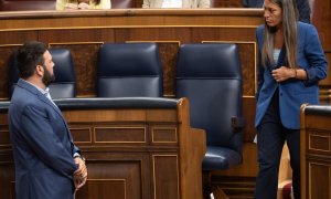 El diputado de EH Bildu Jon Iñarritu y la portavoz de Junts en el Congreso, Miriam Nogueras, interviene durante una sesión plenaria extraordinaria, en el Congreso de los Diputados, a 23 de julio de 2024, en Madrid (España).