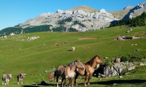 El Comabona, un dels millors miradors de la Cerdanya