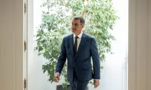 Pedro Sánchez