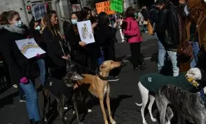 Foto de archivo de varias personas, con pancartas contra el maltrato animal marchan por la Gran Vía con sus perros, durante una manifestación contra la caza, a 6 de febrero de 2022, en Madrid.