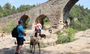 Propietaris de gossos a la zona de bany de Pedret, al terme de Cercs