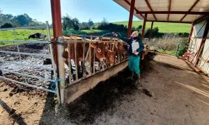 La Ley de Control Ambiental, que reduce trámites administrativos de las empresas, prevé multas de hasta medio millón