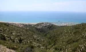 15/08/2024 - Boscos del Parc del Garraf.