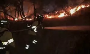 Varios efectivos trabajan para combatir el incendio forestal declarado este domingo en la Sierra de Andújar (Jaén)