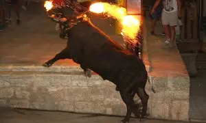 Imagen de archivo de un toro embolado.