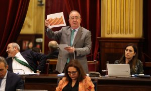 El diputado de Vox Agustín Buades interviene durante un pleno en el Parlament balear, en Palma de Mallorca.