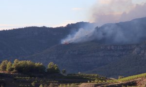 Imatge d'una part de l'incendi de Cabacés, des de Gratallops