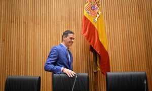 El secretario general del PSOE y presidente del Gobierno, Pedro Sánchez.