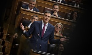 Pedro Sánchez, el pasado miércoles en el Congreso de los Diputados durante la sesión de control al Gobierno.