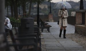 Lluvia Toledo