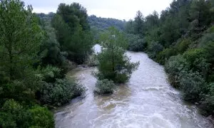 El barranc de Lloret baixa aigua del massís dels Ports al seu pas pel terme municipal de Roquetes (Baix Ebre).