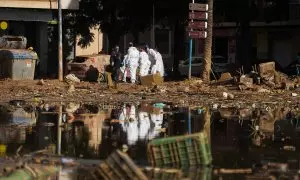 Labores de limpieza en una zona afectada por la DANA, a 17 de noviembre de 2024, en Paiporta, València.