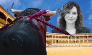 Ayuso blinda la tortura animal y recorta en cultura: así financia la derecha la supervivencia de la tauromaquia