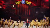 Cierra el circo más antiguo del mundo por el rechazo social al maltrato animal