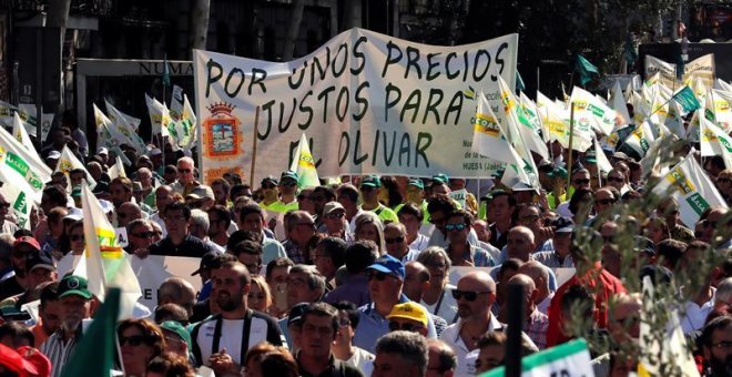 El sector olivarero pide "medidas contundentes" al Gobierno y a la UE por los bajos precios y la amenaza de aranceles