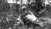 Las palomas fotógrafas del boticario Julius Neubronner