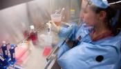 El suero contra el ébola hecho de tabaco transgénico elimina la infección en monos