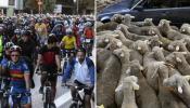 Madrid se llena de bicicletas y ovejas