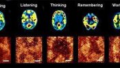 Un grupo de científicos fabrica las primeras neuronas artificiales