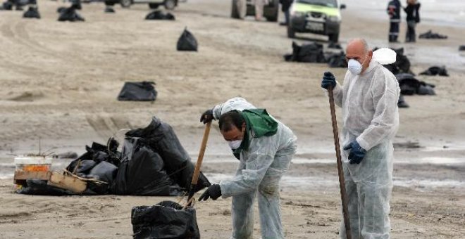 Los ecologistas denuncian la aparición en Ceuta de gaviotas manchadas de combustible