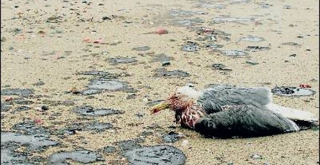 Los ecologistas alertan de otro vertido en Algeciras